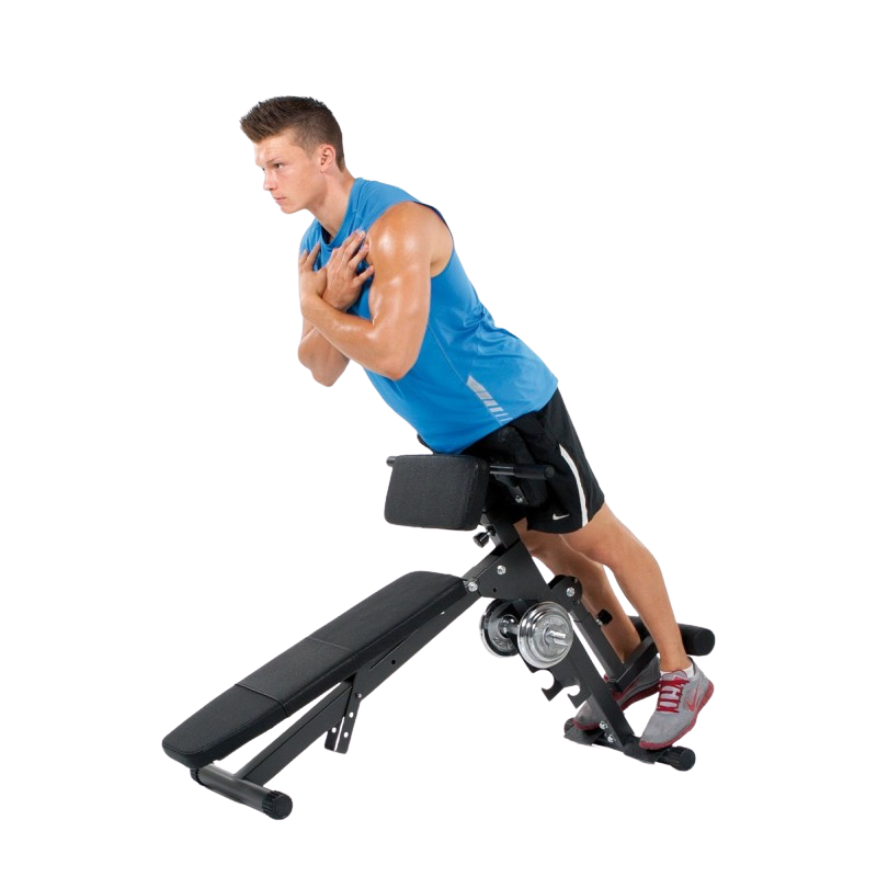 Treeningpink FINNLO by Hammer Ab&Back Trainer - Image 4