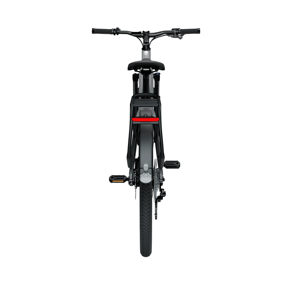 Elektrijalgratas TENWAYS AGO X, 29" Gradient Silver (XL) - Image 4