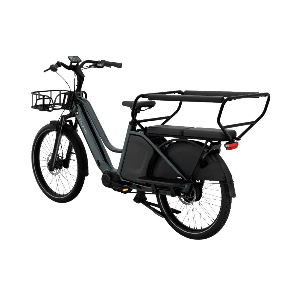 Elektriline kargoratas TENWAYS Longtail DUO - Image 2