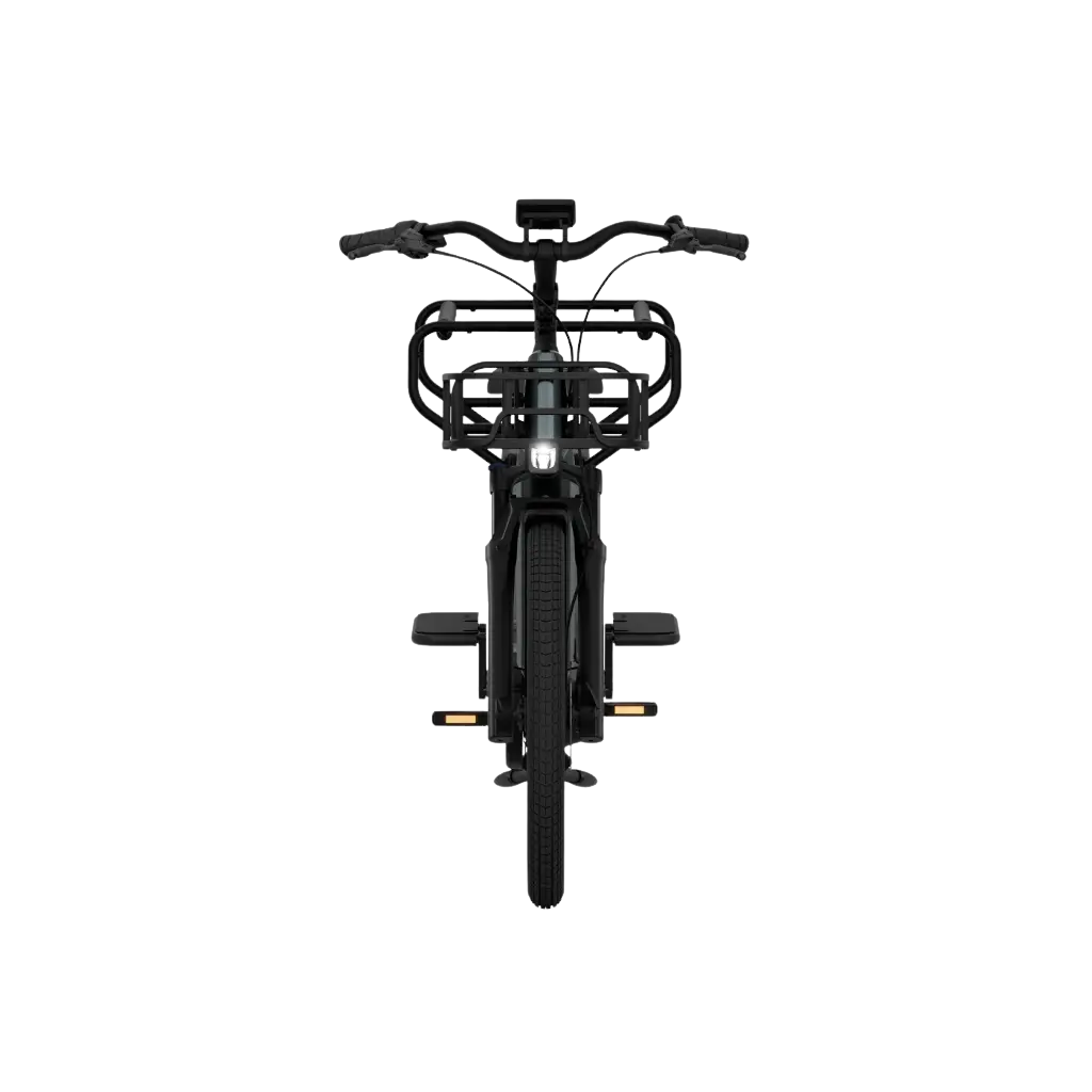 Elektriline kargoratas TENWAYS Longtail DUO - Image 3