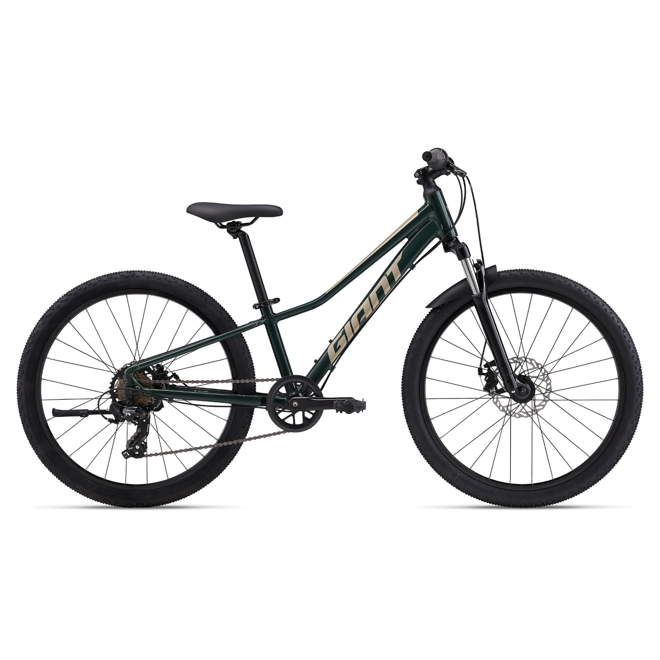 Laste jalgratas GIANT Talon 24, Trekking Green