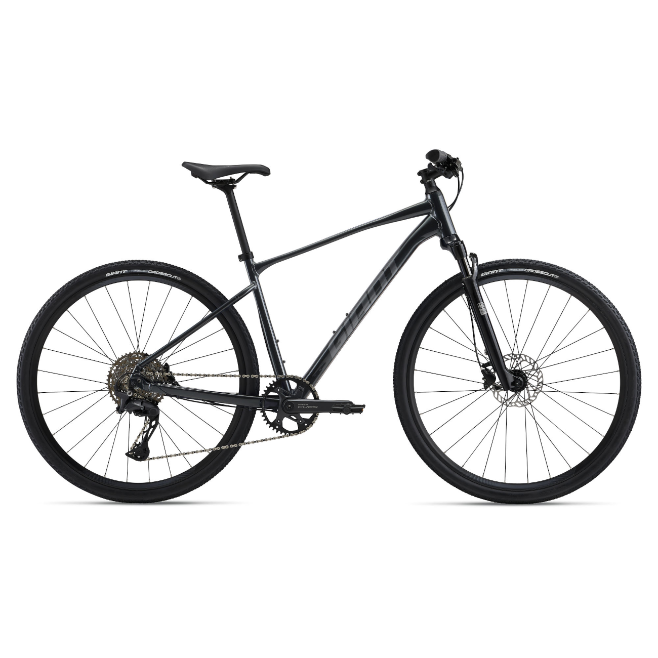 Jalgratas GIANT Roam 1, Charcoal (XL)