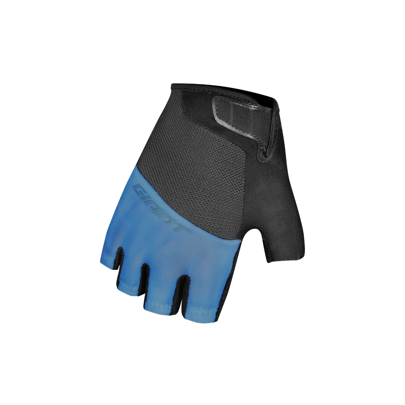 Kindad GIANT Cima SF, Ash Blue (L)